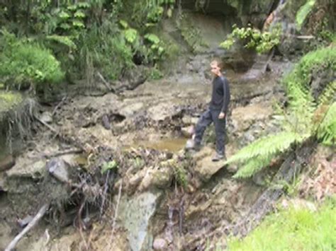 Ancient Examples of Environmental Science 的图像结果