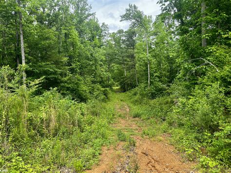 Blue Gut Creek Hunting and Recreation in Chilton County, Alabama (58 ...