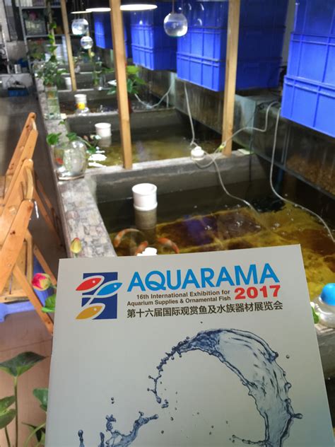 【市场专题】Aquarama带您看尽西南水族圈！ - AQUARAMA 国际水族展广东国际水族展