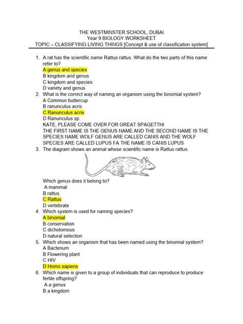Image result for Classification Worksheet TES KS2