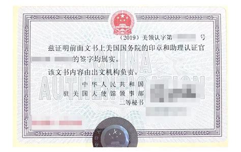 2020年无犯罪记录证明申请表，公证书快速代办，中国公证处海外服务中心