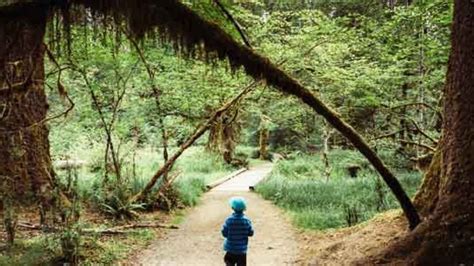 Image result for Alien Blood Type Vidos Reptiliain