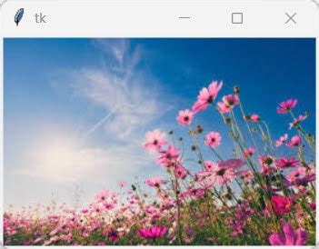 Image result for How to Add Image to Background in Python 3.9