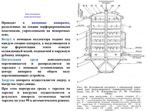 Лекция № 7-9. Способы культивирования микроорганизмов и виды ...