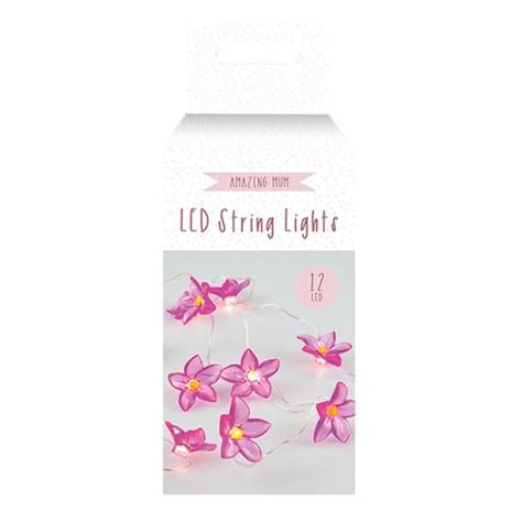 Image result for Pale Pink LED String Lights