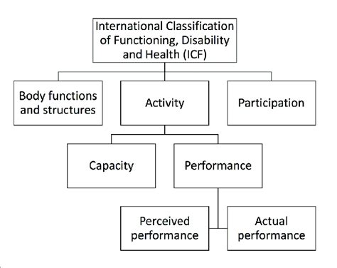 Image result for International Classification of Functioning Scoring