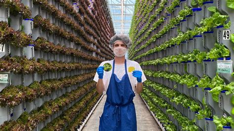 What is an Agricultural Engineer? Roles & Responsibilities | Eden Green