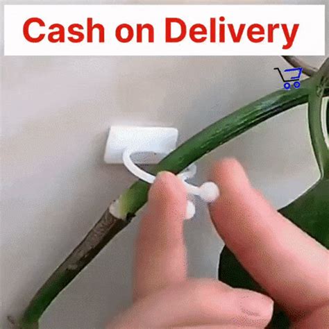 5 in 1 Plant Climbing Clip|Balcony|Gardening |Home |Office – Purposeful ...