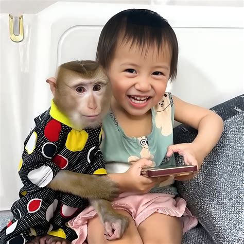 AMBIL SEKARANG