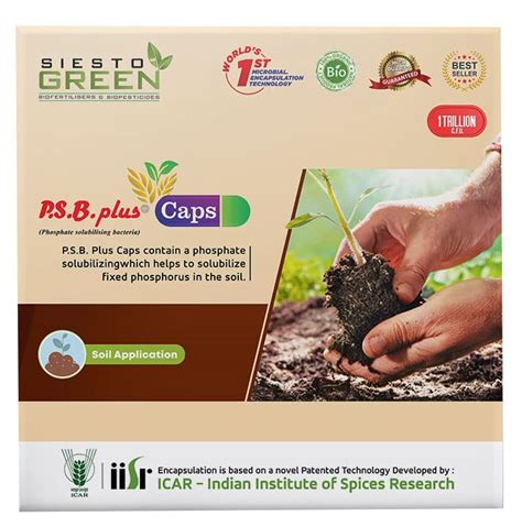 SIESTO GREEN Biofertilizer and Biopesticide PSB Plus Caps ( 6 Capsules ...