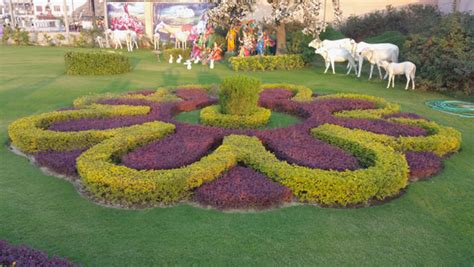 royal green landscape, royal green, landscaping services, complete ...