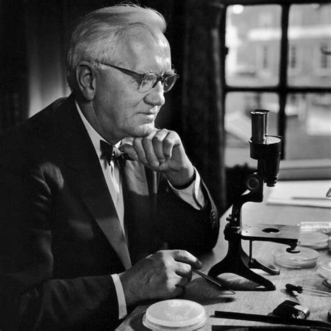 Alexander Fleming | Meer