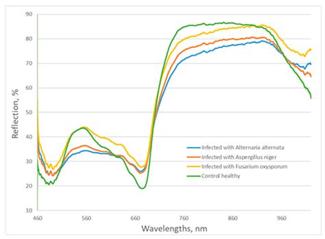 Detection of Fungal Diseases in Lettuce by VIR-NIR Spectroscopy in ...