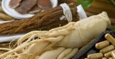 Herbal Roots - Korean Ginseng Extract Trader - Wholesaler / Distributor ...