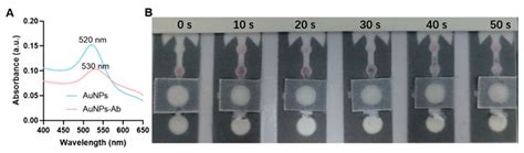 Integrated Colorimetric CRISPR/Cas12a Detection of Double-Stranded DNA ...