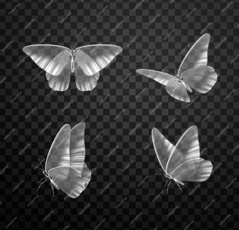 Premium PSD | Set of white transparent butterfly on a transparent ...