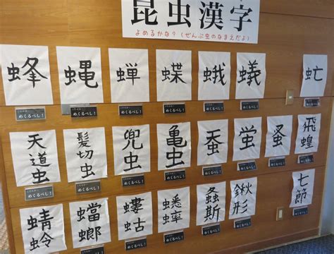 en 365 bet login app download,One such platform is 365 Bet