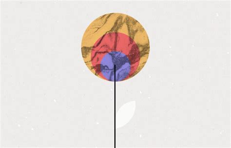 How Asana used market research to build a charming brand campaign Aesthetic Aesthetic Aesthetic