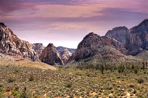 Nature Valley 的图像结果