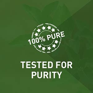 MuscleBlaze Koshaveda Ashwagandha 500mg (60 Tablets) | Ayurveda for ...