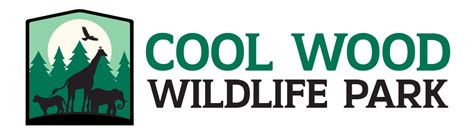 Image result for Kangaroo Evolution Tree