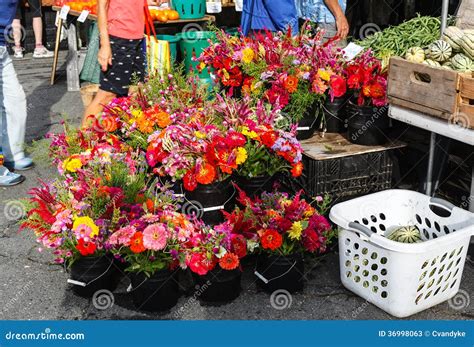 Farmers Market Flowers in Virginia Stock Image - Image of colorful ...
