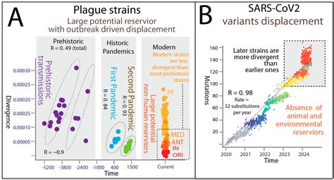 Ancient Origins and Global Diversity of Plague: Genomic Evidence for ...