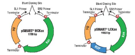 Life Technologies India -- Life Tech India