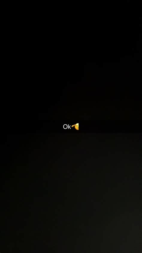 Sending my “step bro” nudes (snap story) : u/Rylie_Rowan