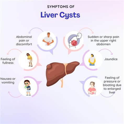 Liver Cyst: Causes, Risk Factors, Symptoms, Treatment