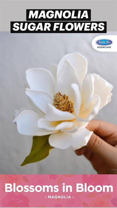 Image result for Gum Paste Hibiscus Flower Tutorial