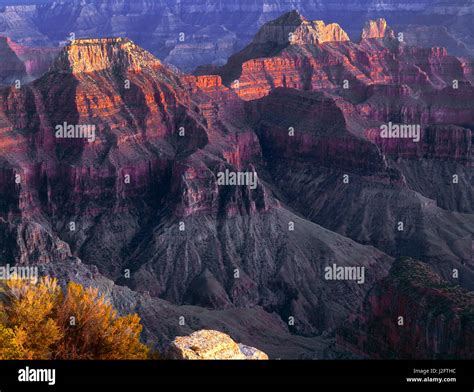 USA, Arizona, Grand Canyon National Park, North Rim, Sunset light on ...