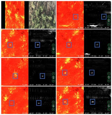Synthetic Aperture Anomaly Imaging for Through-Foliage Target Detection
