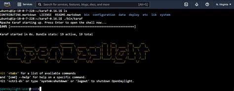 Image result for Install OpenDaylight Ubuntu
