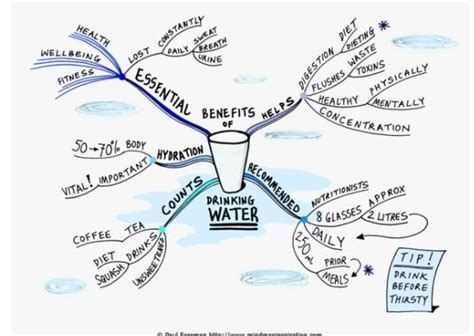 Distribution of water mind map - Brainly.in