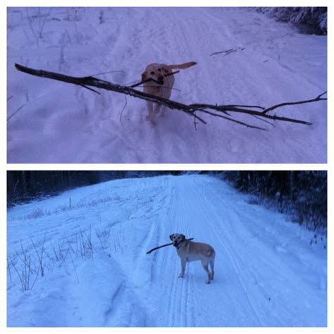 Ways to explain your super-lazy senior schedule - Columbia Spectator