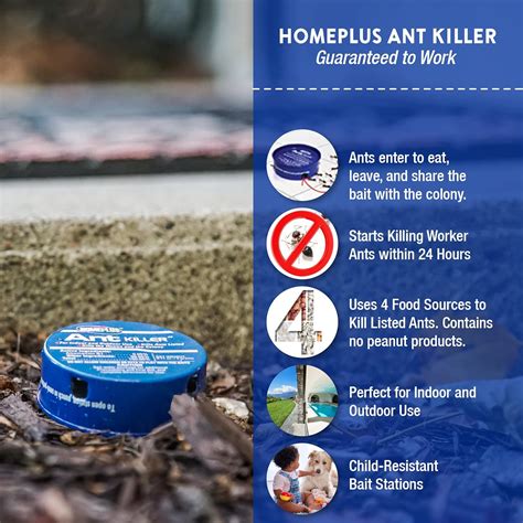 Buy Home Plus Ant Killer (Case Pack), Metal Ant Traps Indoor & Outdoor ...