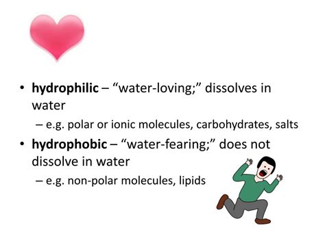 Image result for Biochemistry Tutorials