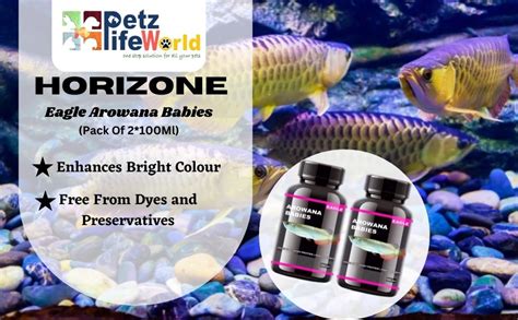 (Pack of 2) Eagle Arowana Babies Fish Food 100ML, High Protein ...