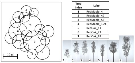 Simulations of Leaf BSDF Effects on Lidar Waveforms