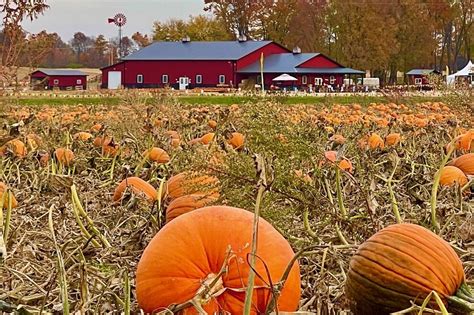 Lehner's Pumpkin Farm