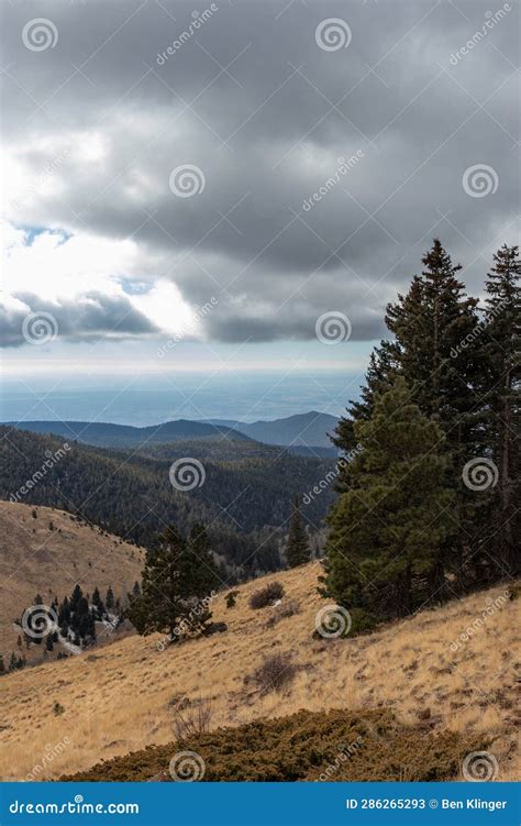 Hiking Mount Taylor a Stratovolcano in Grants New Mexico Cibola ...