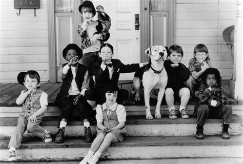 Who Owned Petey In Little Rascals at John Hipple blog