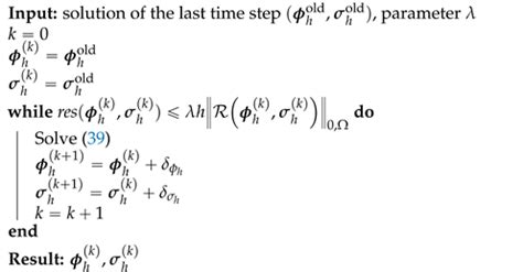 Least-Squares Finite Element Method for a Meso-Scale Model of the ...