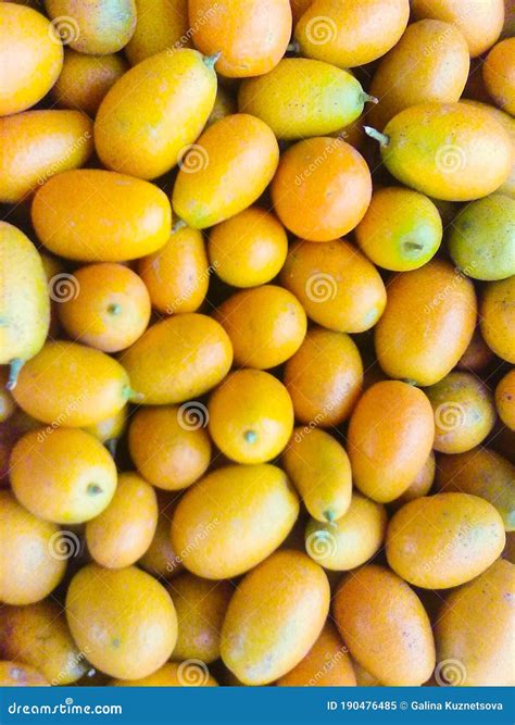 Kumquit - Small, Outlandish, Citrus Fruits Stock Image - Image of ...