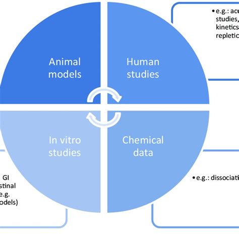 Image result for Nutrient Bioavailability