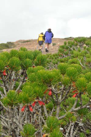 Outback Camp Tours (Perth) - All You Need to Know BEFORE You Go