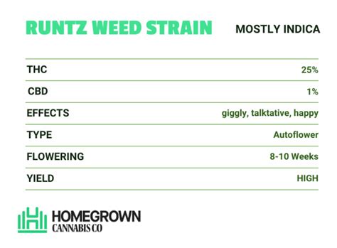 Red Runtz Strain: Genetics, Effects, And Benefits