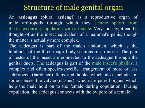Lec. 22&13 Structure and functions of male and female reproductive ...