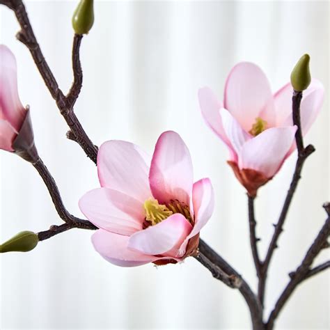 Buy Botanical Flora Artificial Magnolia Flower Stick - 78cm from Home ...